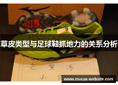 草皮类型与足球鞋抓地力的关系分析