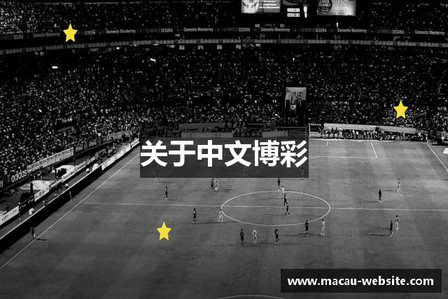 关于中文博彩